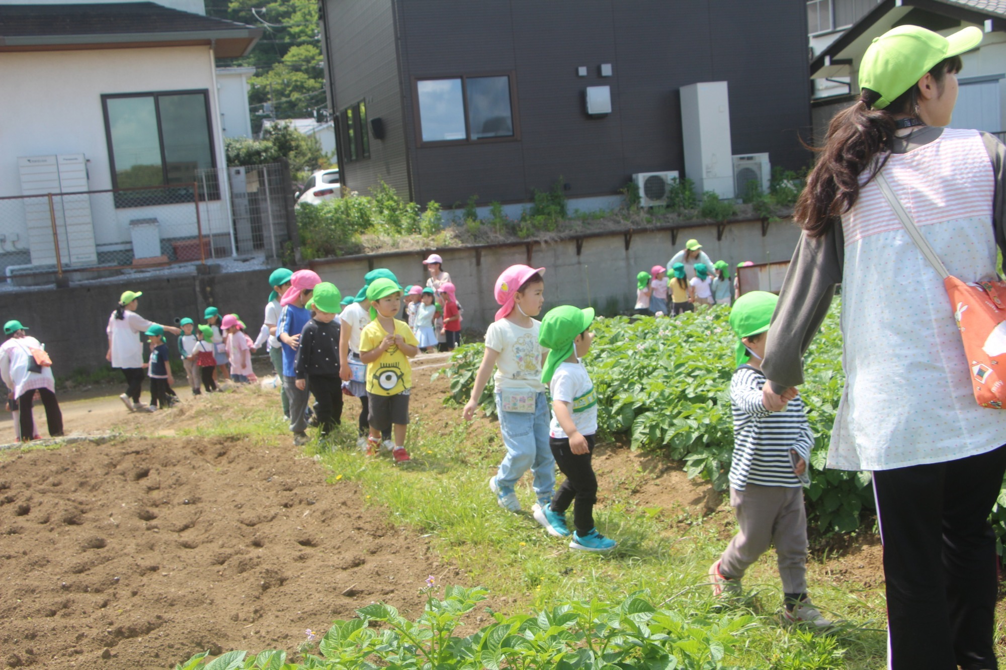 5月