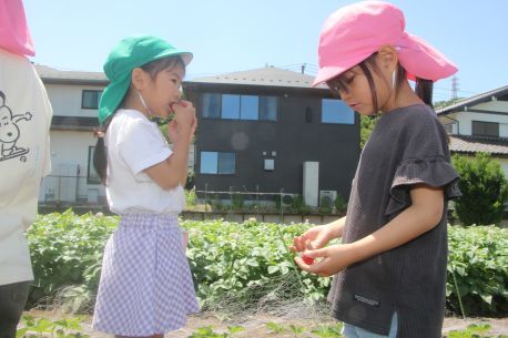 5月